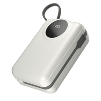ION | 20,000mAh Powerbank