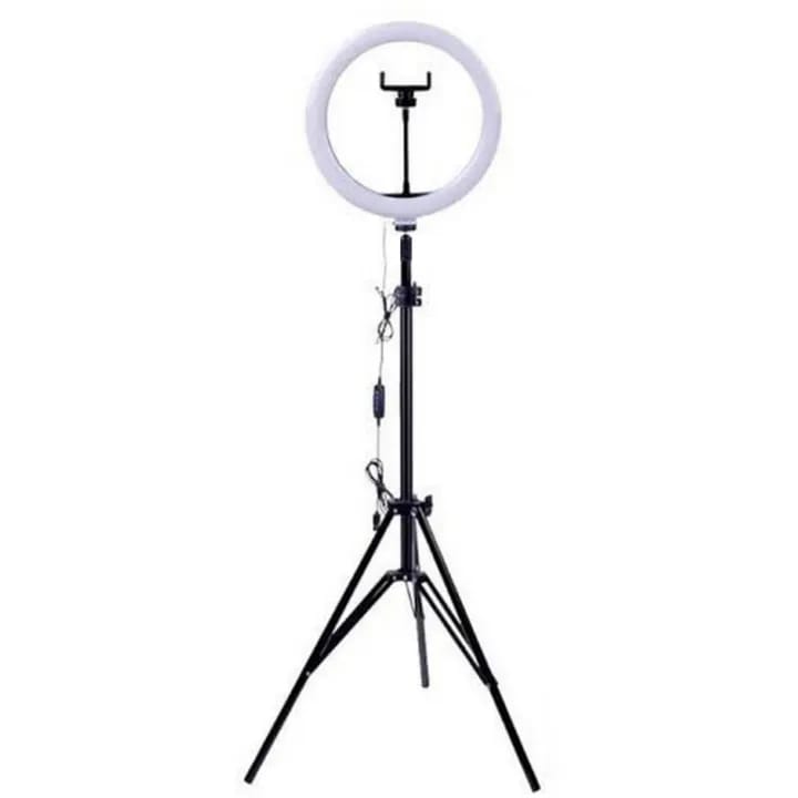 26cm Ring Light With Mobile Holder